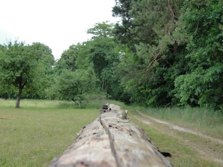 Клепачів з panoramio.com - Клепачів