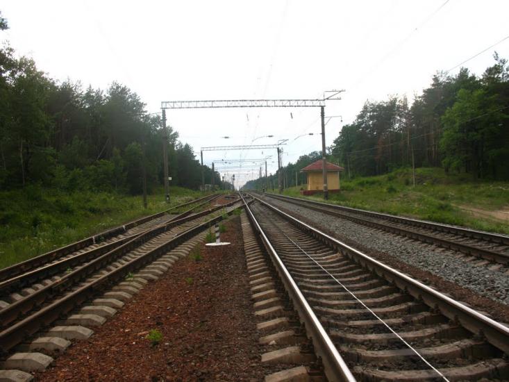 Проліски з panoramio.com - Prolisky