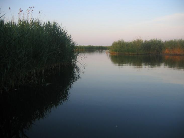 Градениці з panoramio.com - Градениці