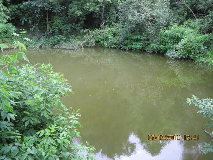 Вербівка з panoramio.com - Вербовка