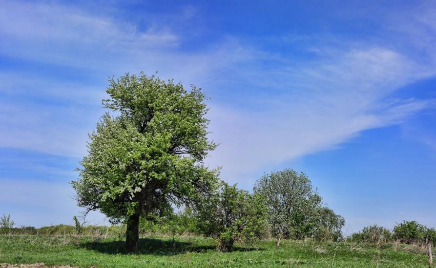 Верхобуж з panoramio.com - Верхобуж