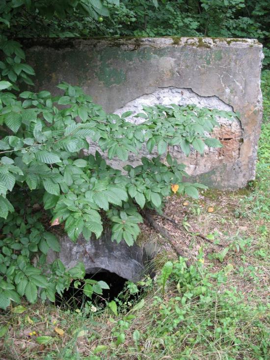 Дзензелівка з panoramio.com - Дзензелівка