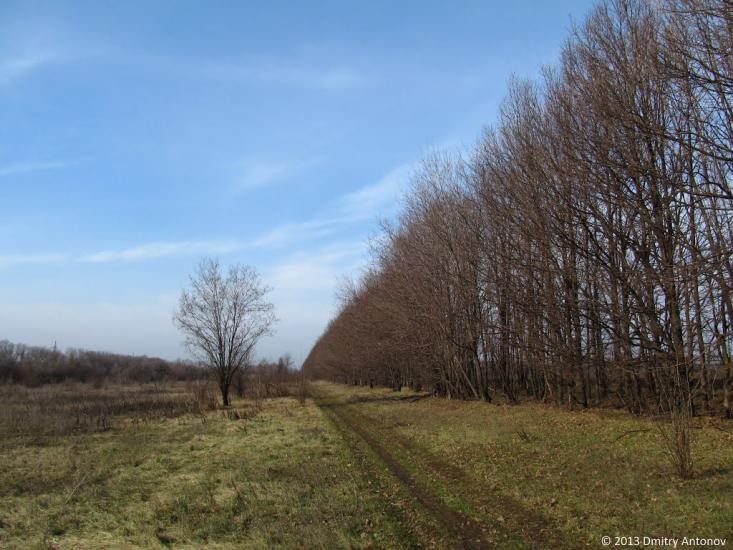 Тернуватка з panoramio.com - Терноватка