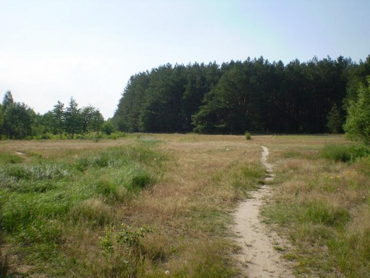 Пилиповичі з panoramio.com - Пилиповичи