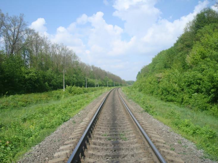 Стара Гута з panoramio.com - Старая Гута