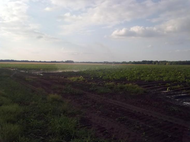 Коврай з panoramio.com - Коврай