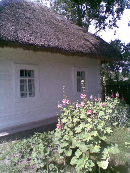 Сосниця з panoramio.com - Сосниця