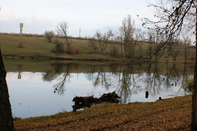 Дібрівка з panoramio.com - Дібрівка