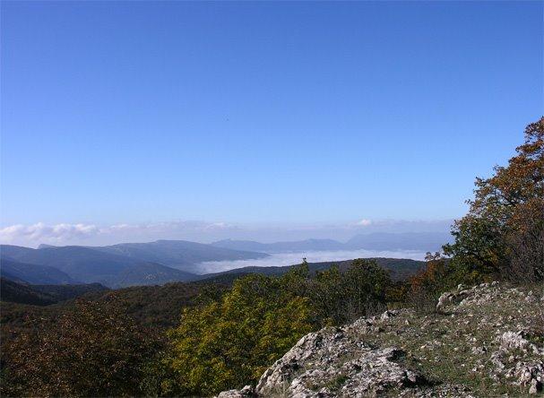 Поляна з panoramio.com - Поляна