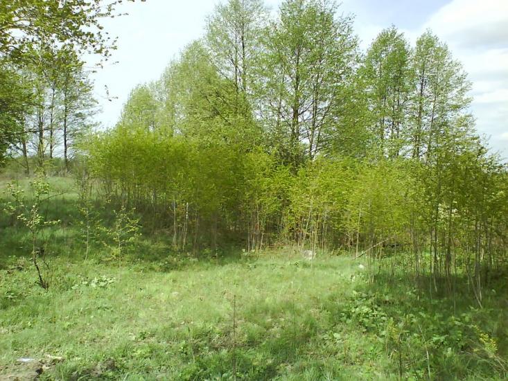 Фасівочка з panoramio.com - Фасовочка