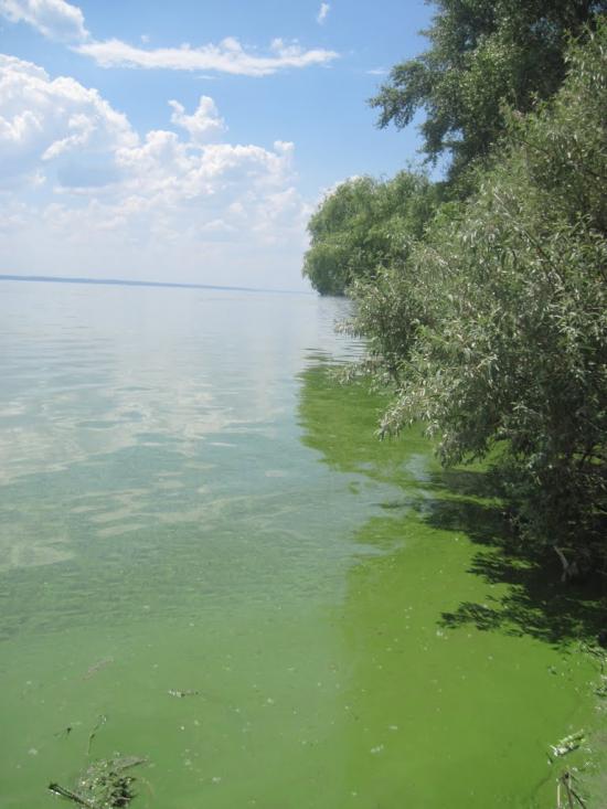 Недогарки з panoramio.com - Nedogarky
