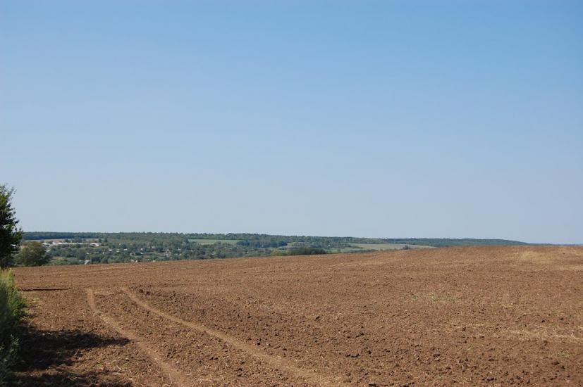 Кущинці з panoramio.com - Кущинці