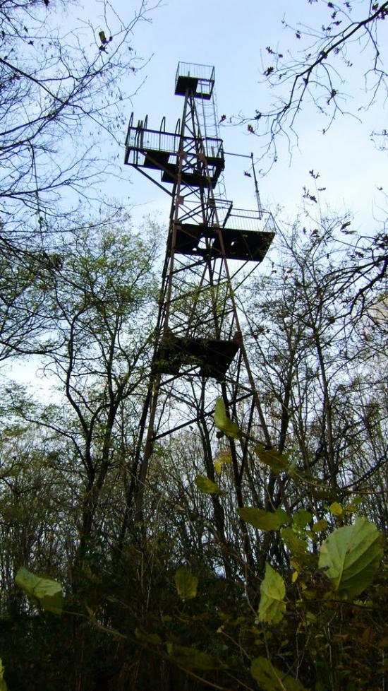 Іршава з panoramio.com - Иршава