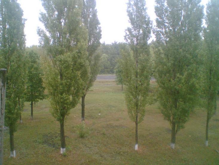 Золоте з panoramio.com - Золотое
