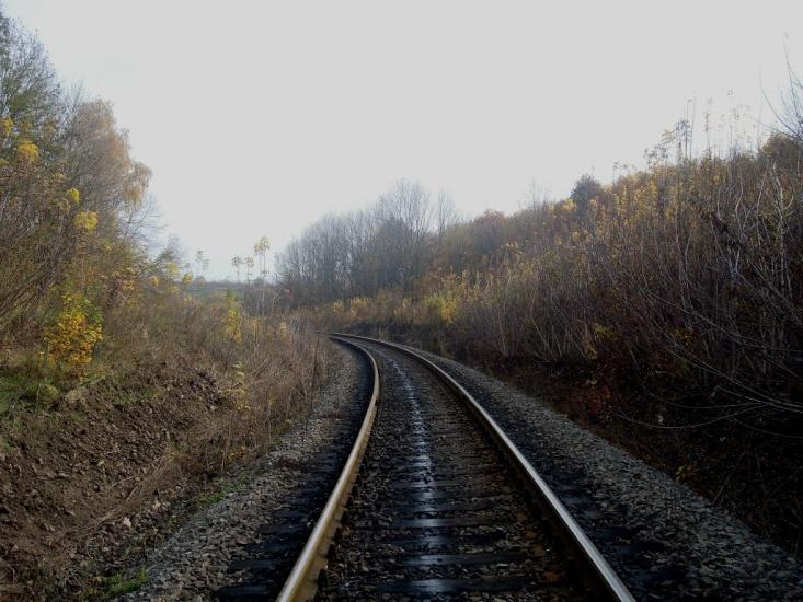 Вільхівчик з panoramio.com - Ольховчик