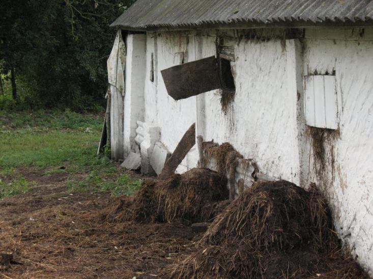 Осіч з panoramio.com - Osich