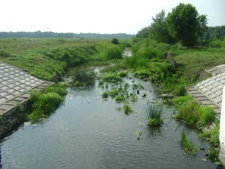 Березань з panoramio.com - Berezan
