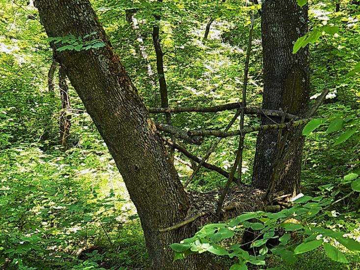 Данилове з panoramio.com - Danylove