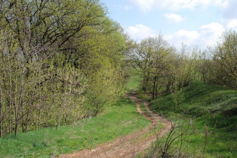 Байрак з panoramio.com - Байрак