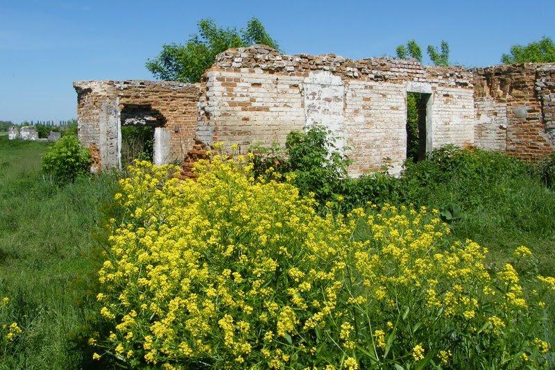 Макошине з panoramio.com - Макошино
