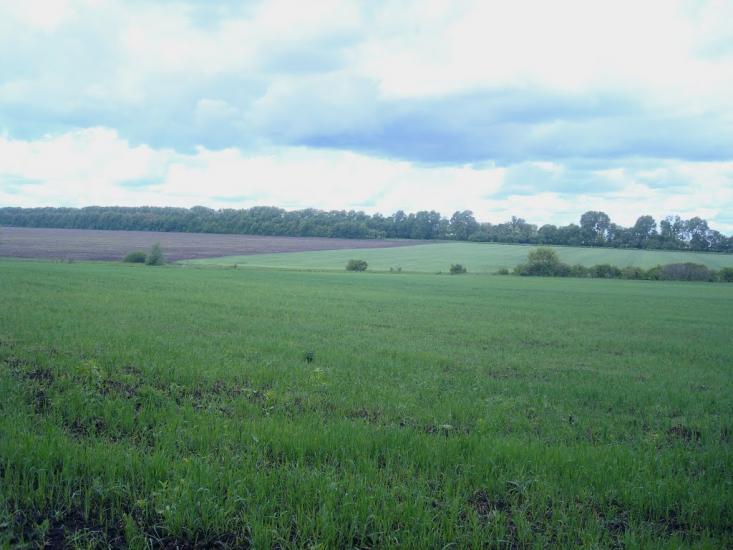 Жищинці з panoramio.com - Жищинці
