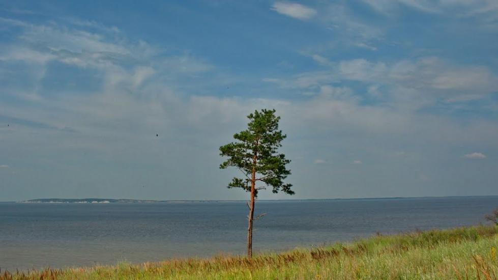Нагірне з panoramio.com - Nagirne