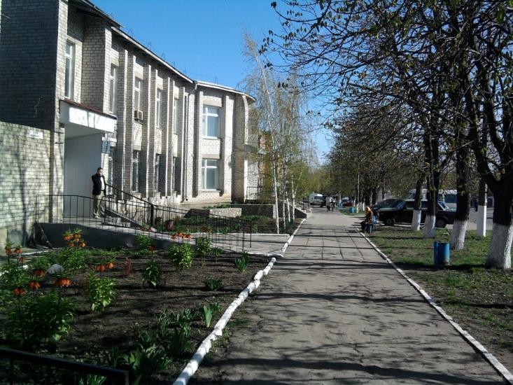 Врадіївка з panoramio.com - Врадиевка