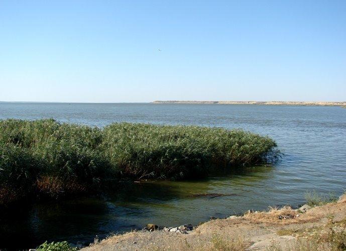 Нова Некрасівка з panoramio.com - Nova Nekrasivka