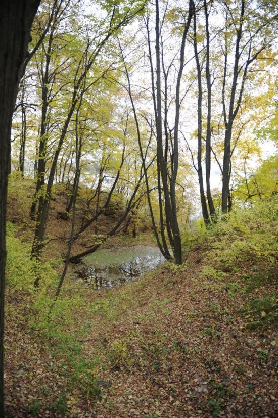 Хлерівка з panoramio.com - Khlerivka