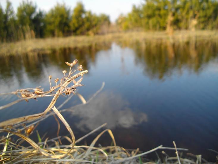 Озеро з panoramio.com - Озеро
