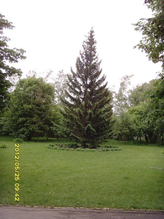 Сонячне з panoramio.com - Солнечное