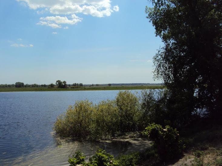 Карпилівка з panoramio.com - Карпилівка