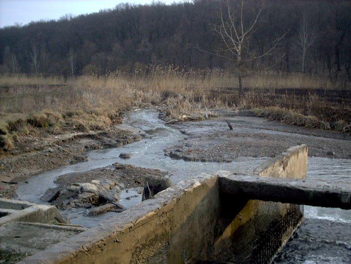 Кочеток з panoramio.com - Кочеток
