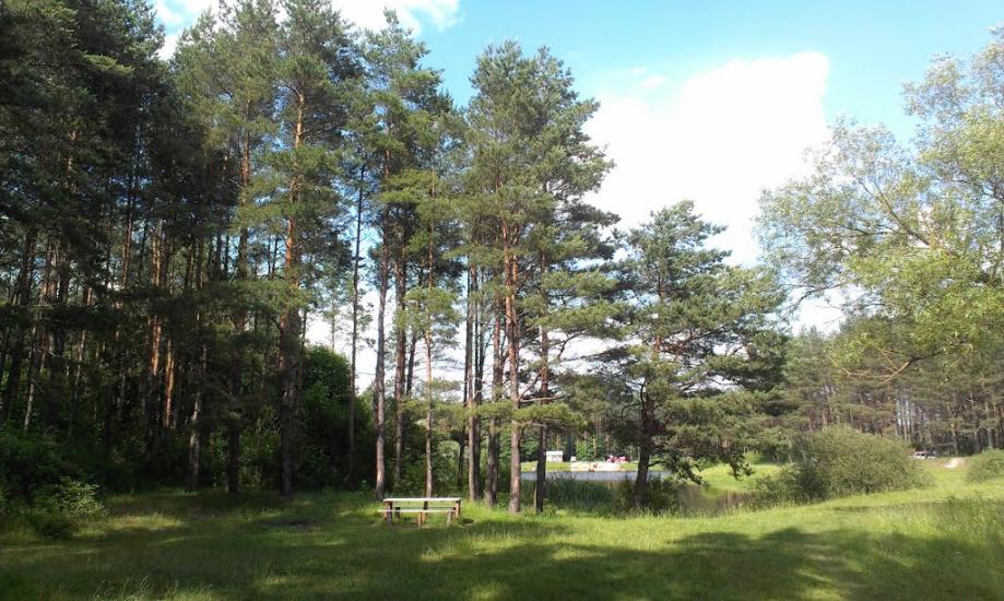Козлин з panoramio.com - Козлин