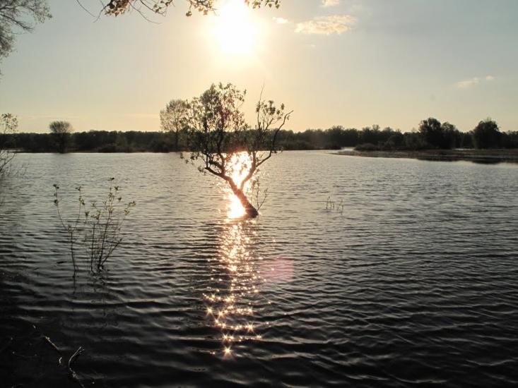 Остер з panoramio.com - Oster