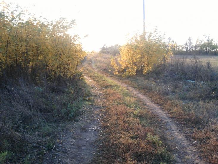 Зайцеве з panoramio.com - Зайцеве