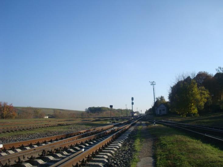 Томашівка з panoramio.com - Томашовка