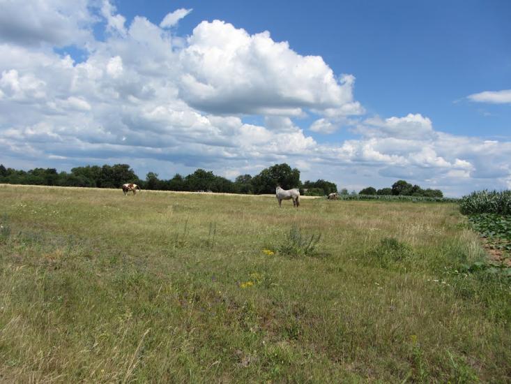 Попівка з panoramio.com - Попівка