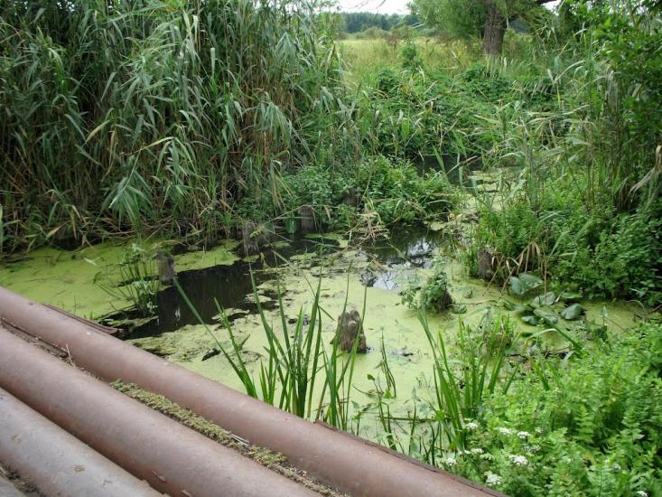 Утківка з panoramio.com - Утківка