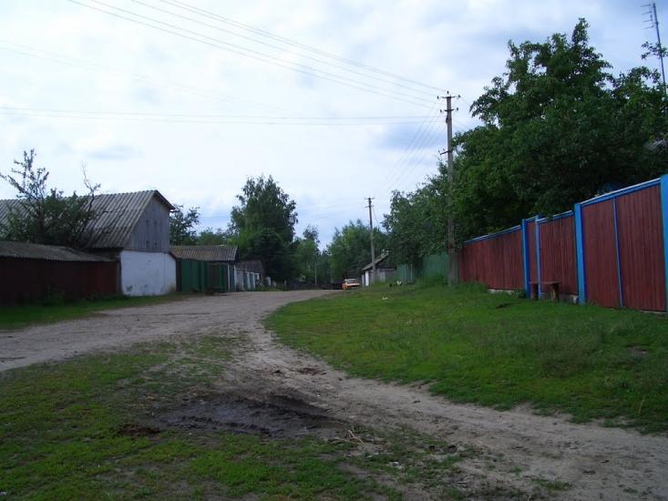 Алтинівка з panoramio.com - Алтинівка