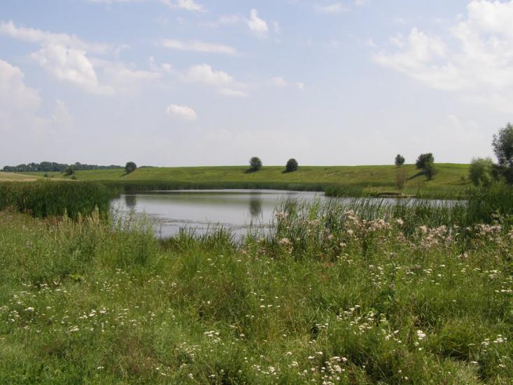 Пінчуки з panoramio.com - Пінчуки