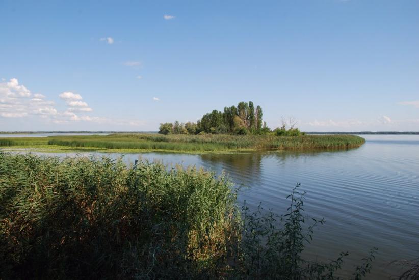 Світлогірське з panoramio.com - Светлогорское