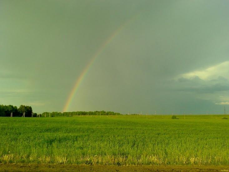 Браїлів з panoramio.com - Brayiliv