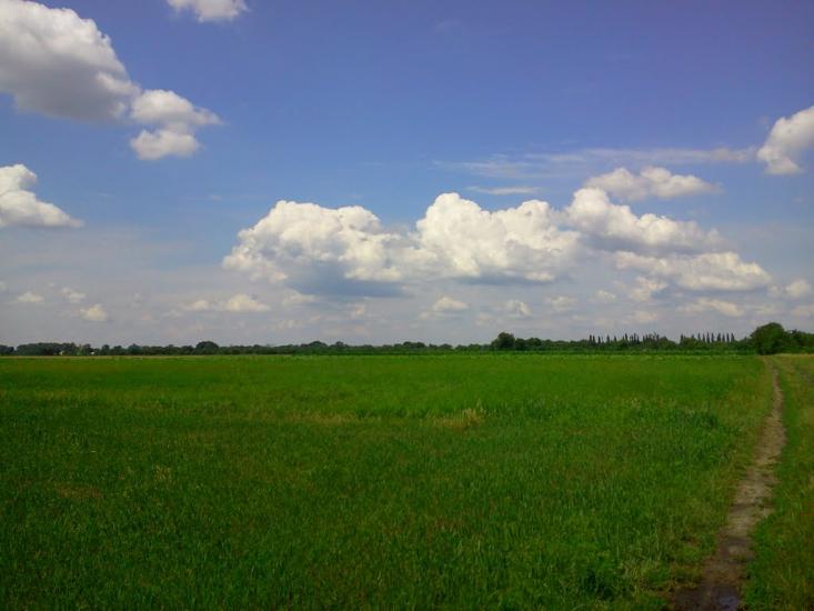 Шевченкове з panoramio.com - Шевченково