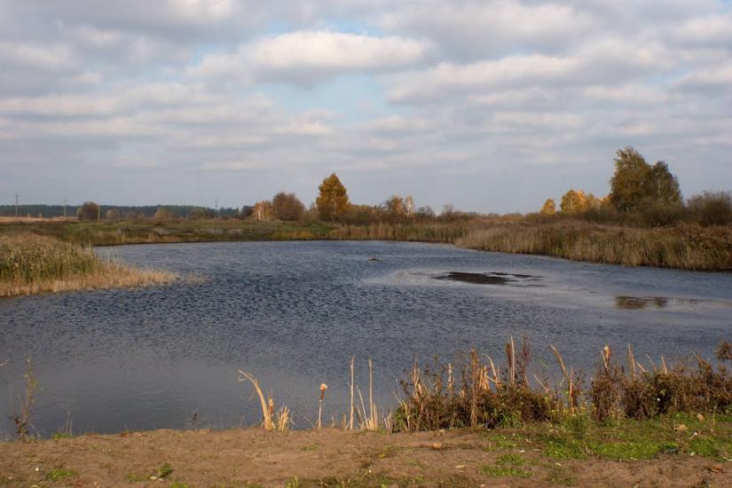 Гута-Межигірська з panoramio.com - Гута-Межигорская