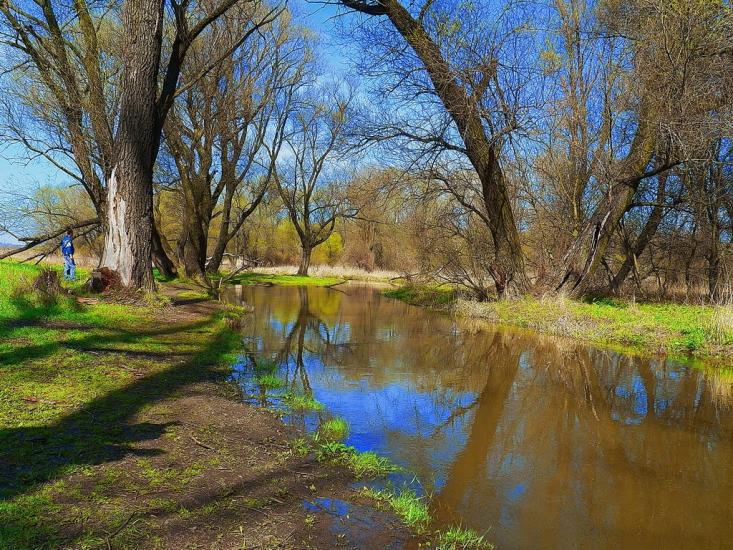 Булавинське з panoramio.com - Bulavynske