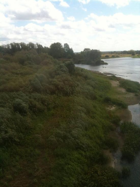 Лисогубівка з panoramio.com - Лисогубівка