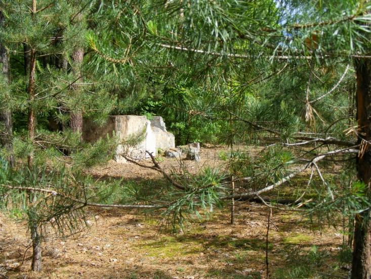 Липники з panoramio.com - Липники