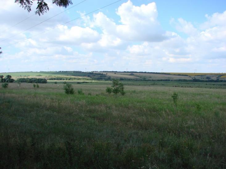 Балахівка з panoramio.com - Balakhivka