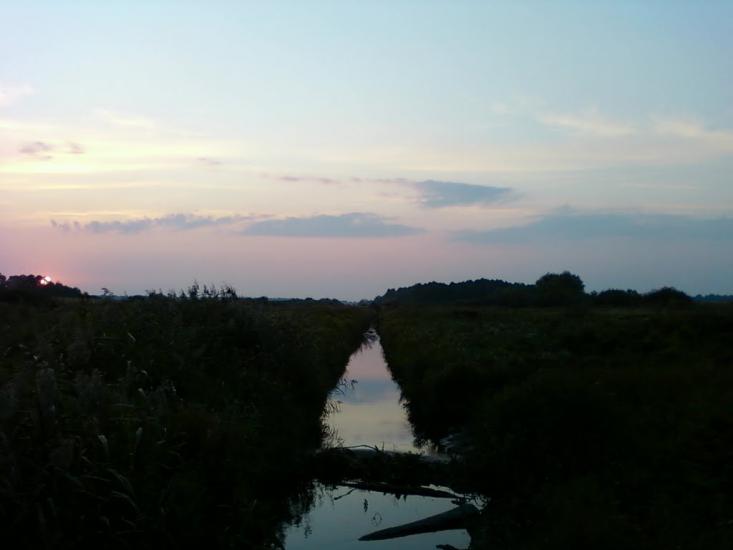 Сальник з panoramio.com - Сальник
